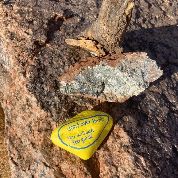 Meet your Posher, Carolee - Picture 4 of 8